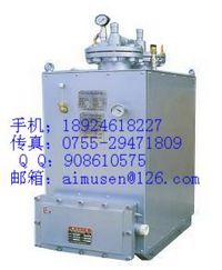 供应中邦CPEX电热式气化器炉站